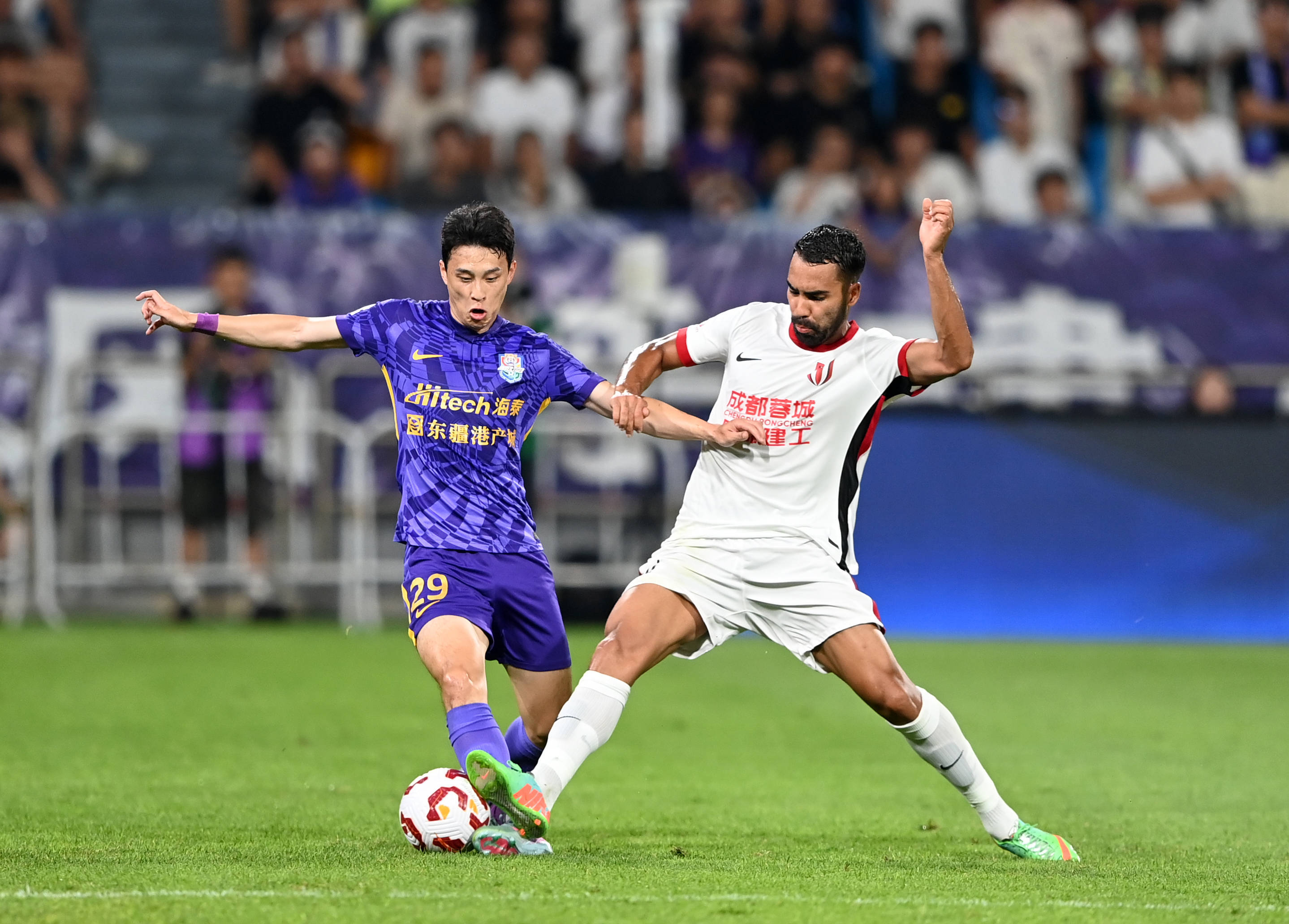 为其执行长 为其执行长